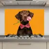Hond - Oranje - Roos - Valentijn keuken achterwand spatscherm klein -3d_website