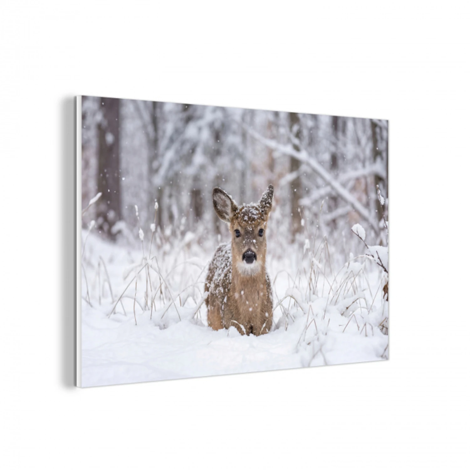 Hert - Sneeuw - Bos - Dieren - Vertederend forex 5mm xxl -3d