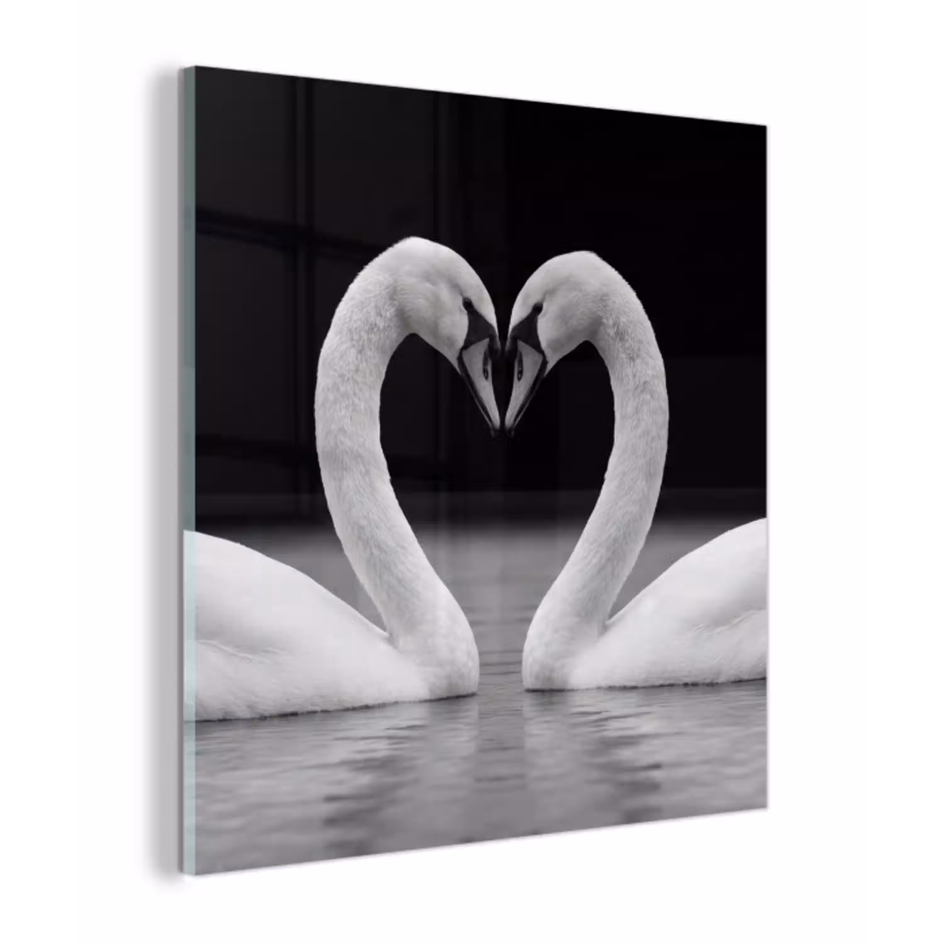 Zwanen - Hart - Zwart - Wit plexiglas 5mm klein -z3d