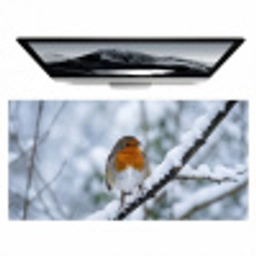 Roodborstje - Tak - Sneeuw - Winter - Levendig Muismat XXL klein -zzz3d