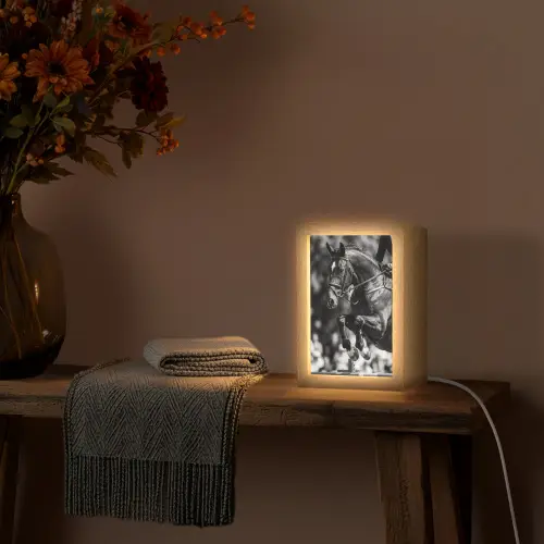 Springen - Paard - Zwart - Wit Light Box met kabel (Tafellamp) klein -sfeer4