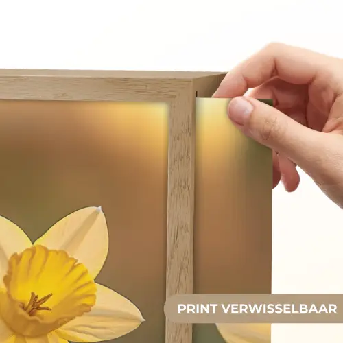 Bloemen - Geel - Wazig Light Box met batterij (Wandlamp) middel -USP_websiteprintNL