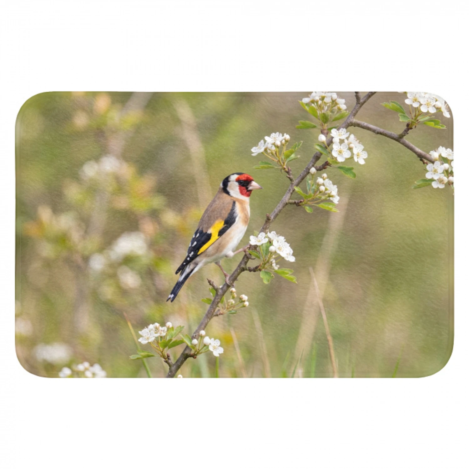 Putter - Bloesem - Lente - Natuur - Kleurrijk Badmat klein -3d