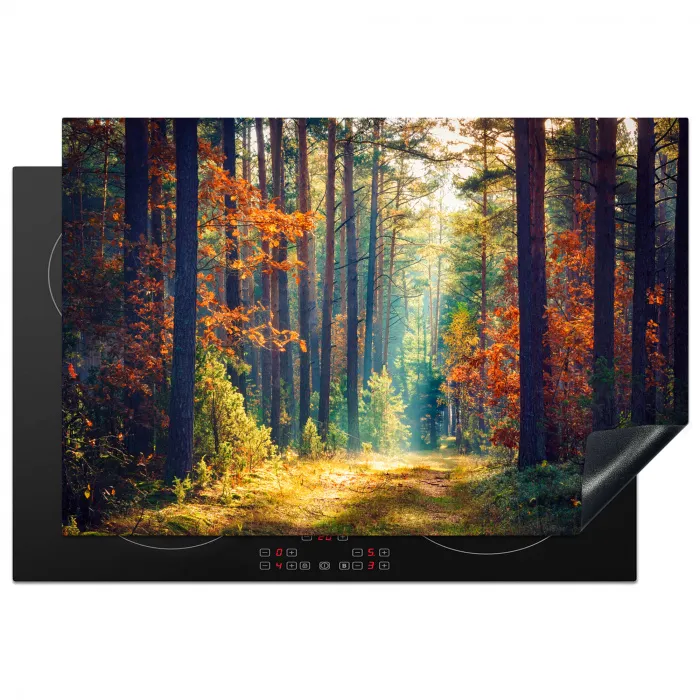 Bos - Zon - Natuur - Herfst Inductie beschermer vinyl 3mm klein -3d
