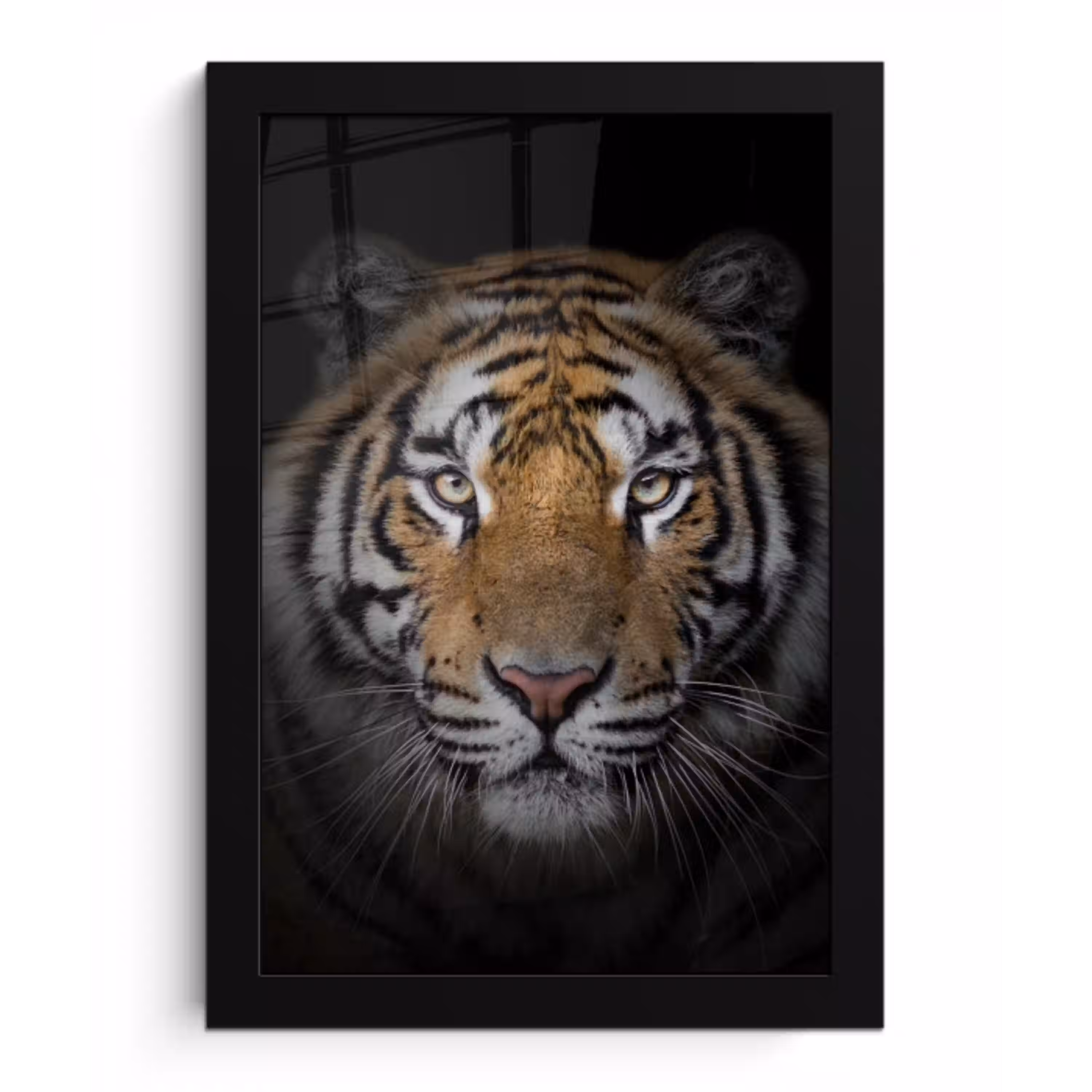 Tijger - Wilde dieren - Portret - Zwart - Dieren fotolijst zwart zonder passe partout klein -3d