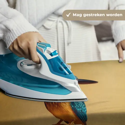 Ijsvogel - Pilaar - Koksmuts - Vogel Wandkleed katoen klein -sfeer9