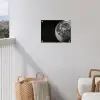 Close-up - Maan - Wit - Textuur tuinposter los doek klein -sfeer8
