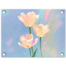 Tulpen - Roze accenten - Blauw tuinposter los doek klein -3d