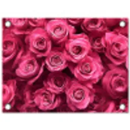 Rozen - Pink - Bloem tuinposter los doek klein -3d