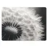 Paardenbloem - Zwart - Wit muismat rubber klein -3d