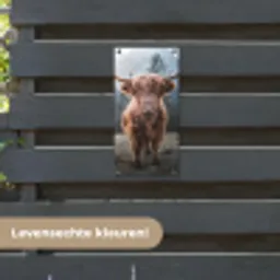 Imposante Hooglander in de Natuur tuinposter los doek klein -sfeer3