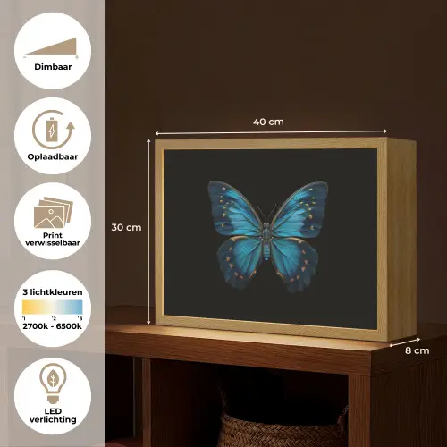 Vlinder - Blauw - Contrast Light Box met batterij (Wandlamp) middel -USP_websiteoverzichtNL