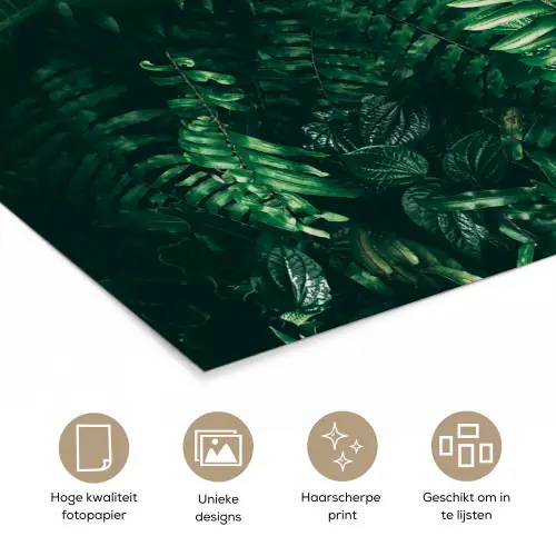 Bladeren - Jungle - Natuur - Tropisch - Planten poster papier klein -closeup_NL