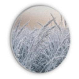 Rijp - Gras - Kristallen - Winter - Minimalistisch Akoestische PET Vilt - Rond klein -3d