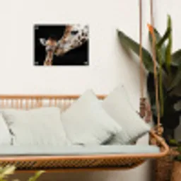 Giraffe - Dieren - Zwart - Portret - Dieren tuinposter los doek klein -sfeer7