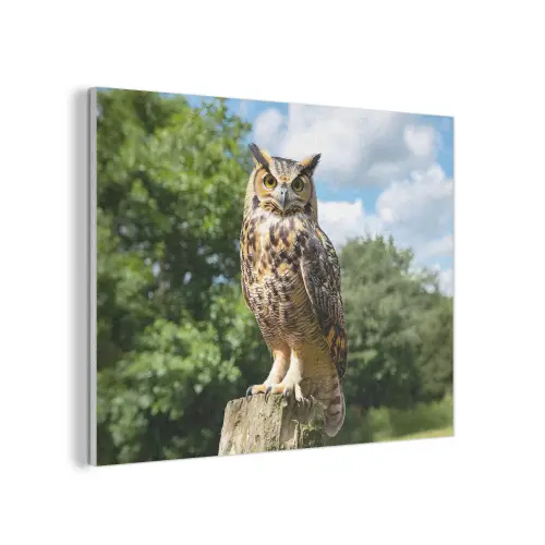 Uil - Boomstronk - Bos - Lucht PET vilt klein -3d