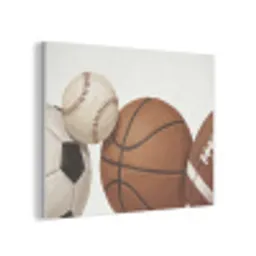 Sport - Ballen - Illustratie PET vilt klein -3d