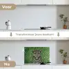 Panter - Zebrapatroon - Groen keuken achterwand spatscherm klein -voor_na_NL