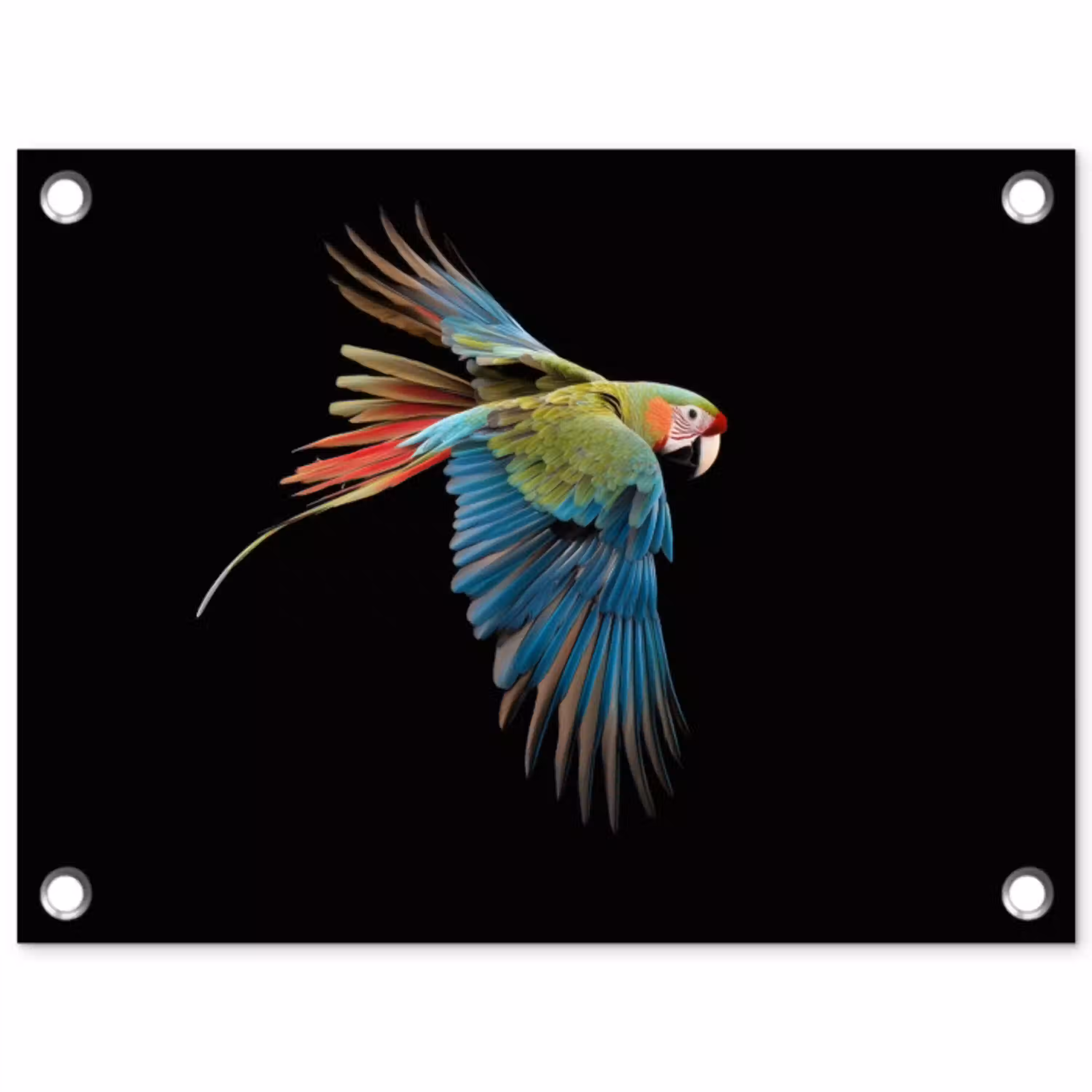 Papegaai - Kleurrijk - Vleugels - Sierlijk tuinposter los doek klein -3d