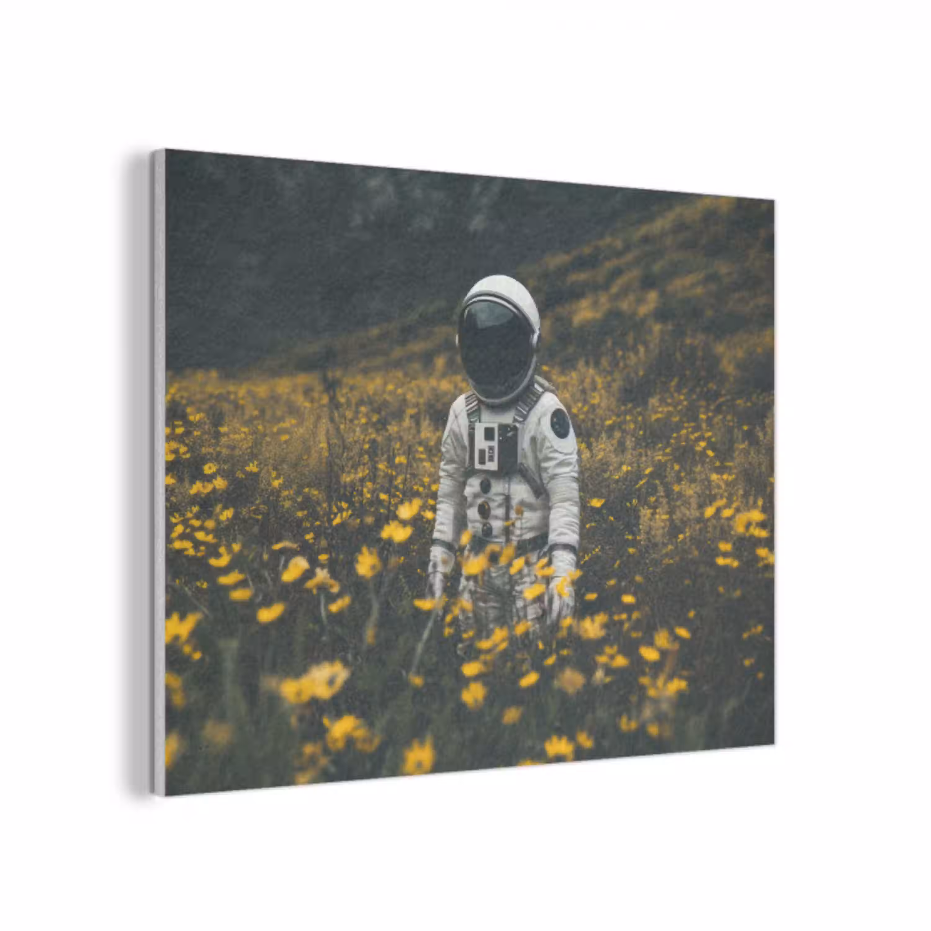 Astronaut - Bloemen - Veld - Geel PET vilt klein -3d