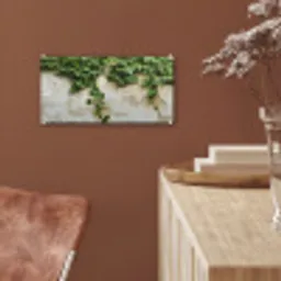 Klimop - Muur - Groen plexiglas 5mm klein -sfeer5