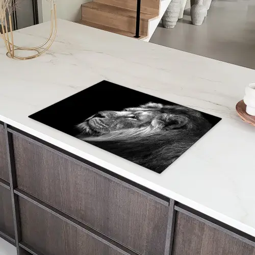 Leeuw tegen zwarte achtergrond in zwart-wit Inductie beschermer vinyl 3mm klein -sfeer8