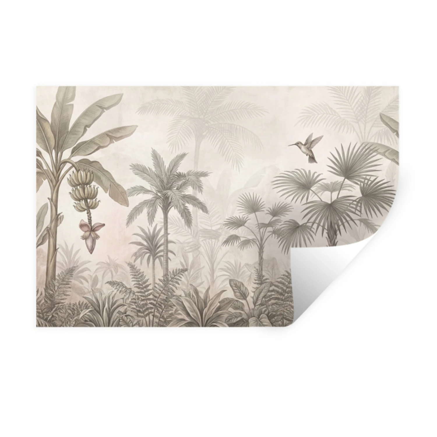 Jungle - Banenboom - Kolibrie - Beige Muursticker klein -3d