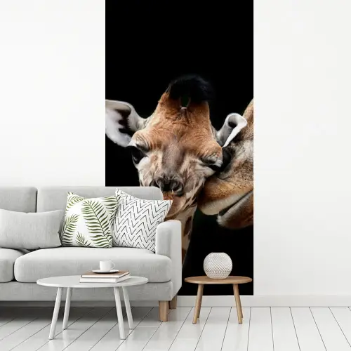 Giraffe - Dieren - Zwart - Portret - Dieren fotobehang vinyl groot -woonkamer