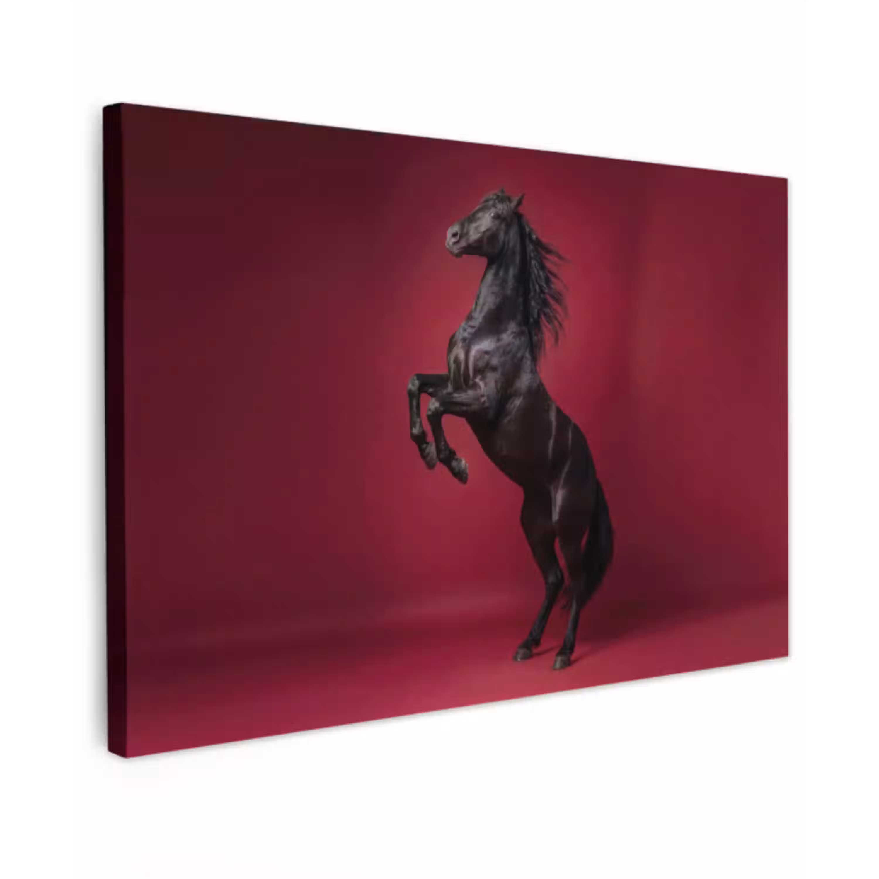 Hengst - Steigert - Rood Tuinposter op houten frame 2 cm dik klein -3d