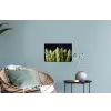 Asperges - Groen - Zwart Muursticker klein -plant