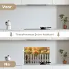 Rozen - Hek - Zonlicht keuken achterwand spatscherm klein -voor_na_NL