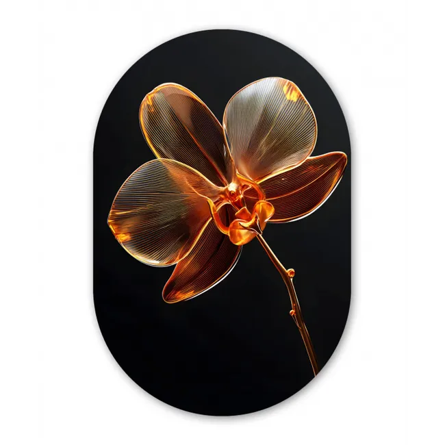 Orchidee - Doorzichtig - Bloem Wandcirkel Ovaal Glas middel -3d