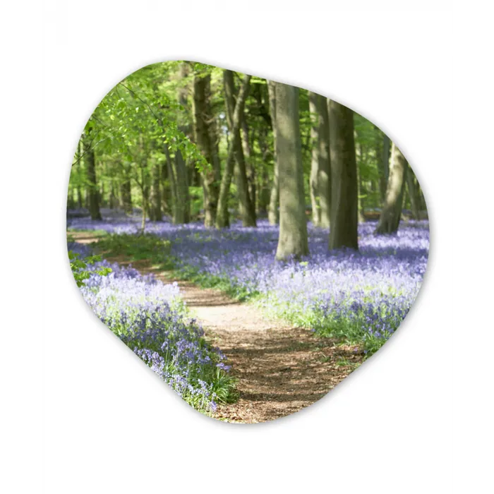 Bos - Pad - Bloemen - Paars - Groen - Natuur Wandcirkel Organisch Forex 3mm klein -3d