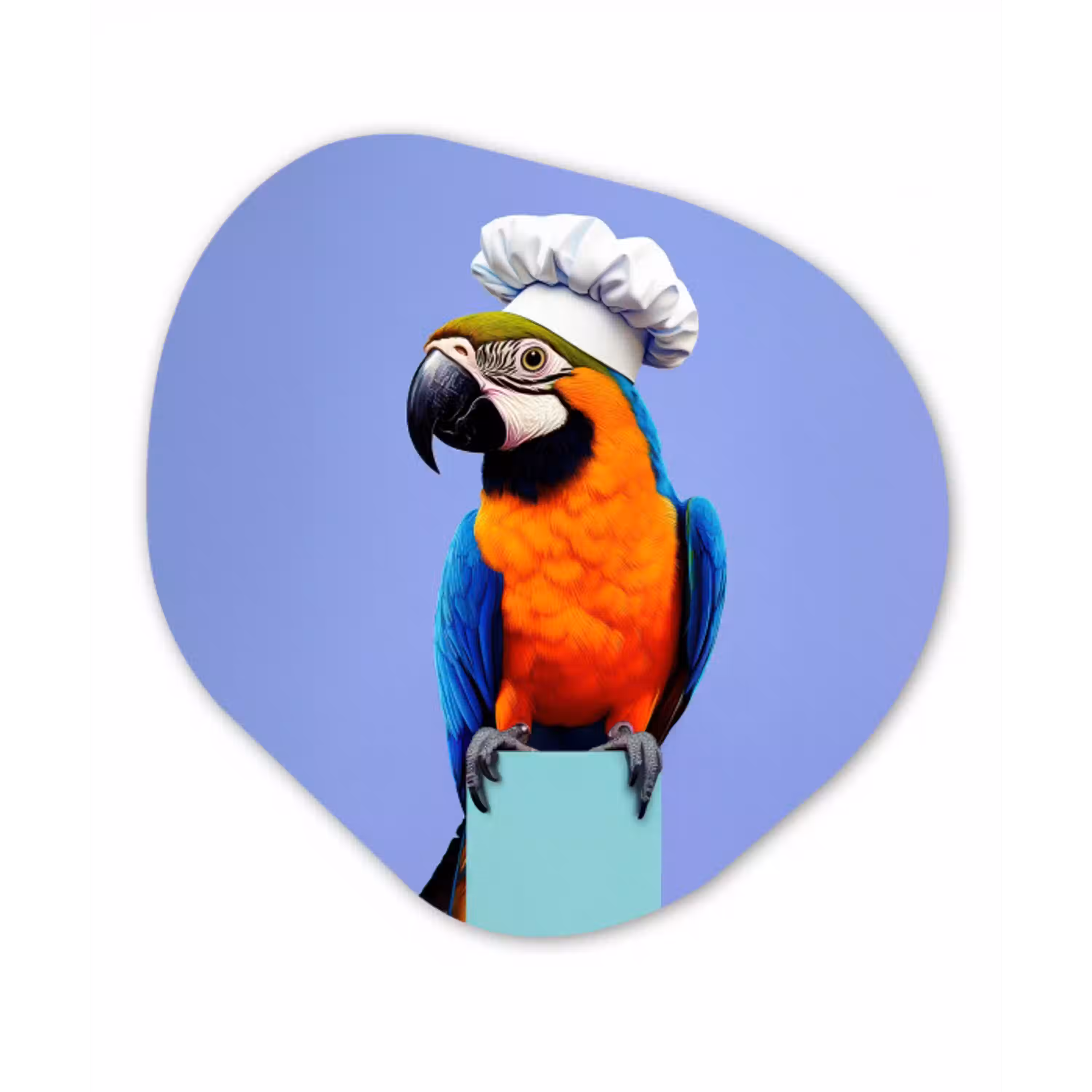 Papegaai - Koksmuts - Vogel - Leuk Wandcirkel Organisch Plexiglas middel -3d