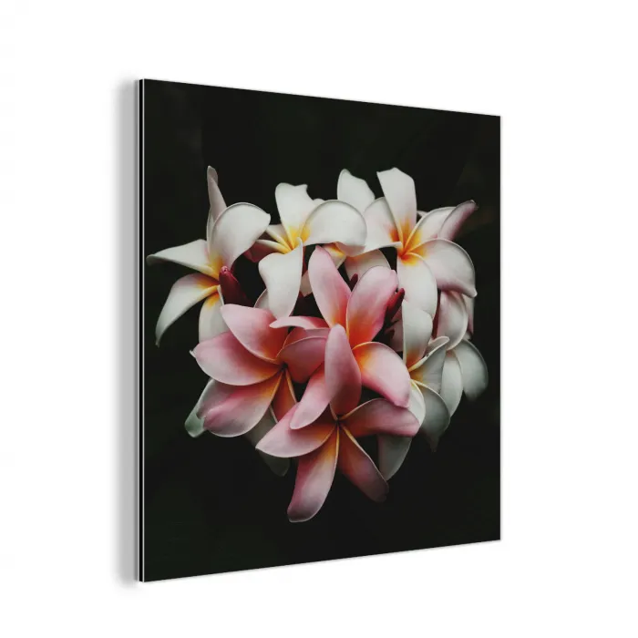 Bloemen - Roze - Zwart - Flora - Botanisch aluminium wit klein -3d