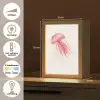 Kwal - Tentakels - Roze Light Box met kabel (Tafellamp) klein -USP_NL