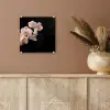 Orchidee - Bloemen - Roze - Stilleven - Flora plexiglas 5mm klein -sfeer5