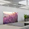Lavendel - Paars - Zonlicht keuken achterwand spatscherm klein -3d_schuin