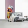 Papegaai - Koksmuts - Nieuwsgierig - Vogel fotobehang vinyl groot -slaapkamer
