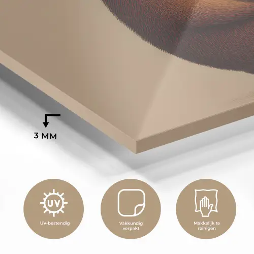Beer - Minimalistisch - Bruin plexiglas 5mm klein -sfeer2