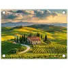Toscane - Landschap - Wijngaarden tuinposter los doek klein -3d