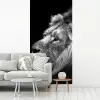 Leeuw tegen zwarte achtergrond in zwart-wit fotobehang vinyl groot -woonkamer