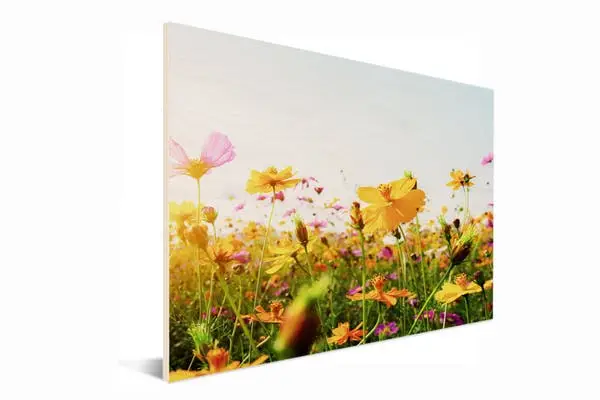 Bloemenfoto's op hout