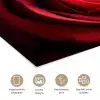 Rood - Roos - Romantisch poster papier klein -closeup_NL