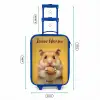 Hamster - Walnoot - Dier Kinderkoffer - Blauw klein -productfoto_formaten