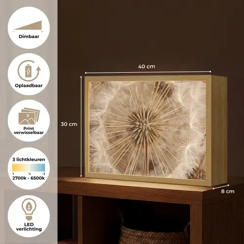 Paardenbloem - Bloemen - Natuur - Bruin Light Box met batterij (Wandlamp) middel -USP_websiteoverzichtNL