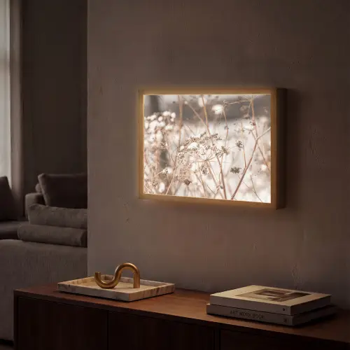Droogbloemen - Wit - Planten Light Box met batterij (Wandlamp) middel -sfeer1