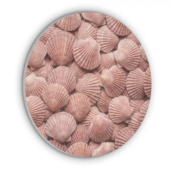 Schelpen - Patroon - Roze Akoestische PET Vilt - Rond klein -3d