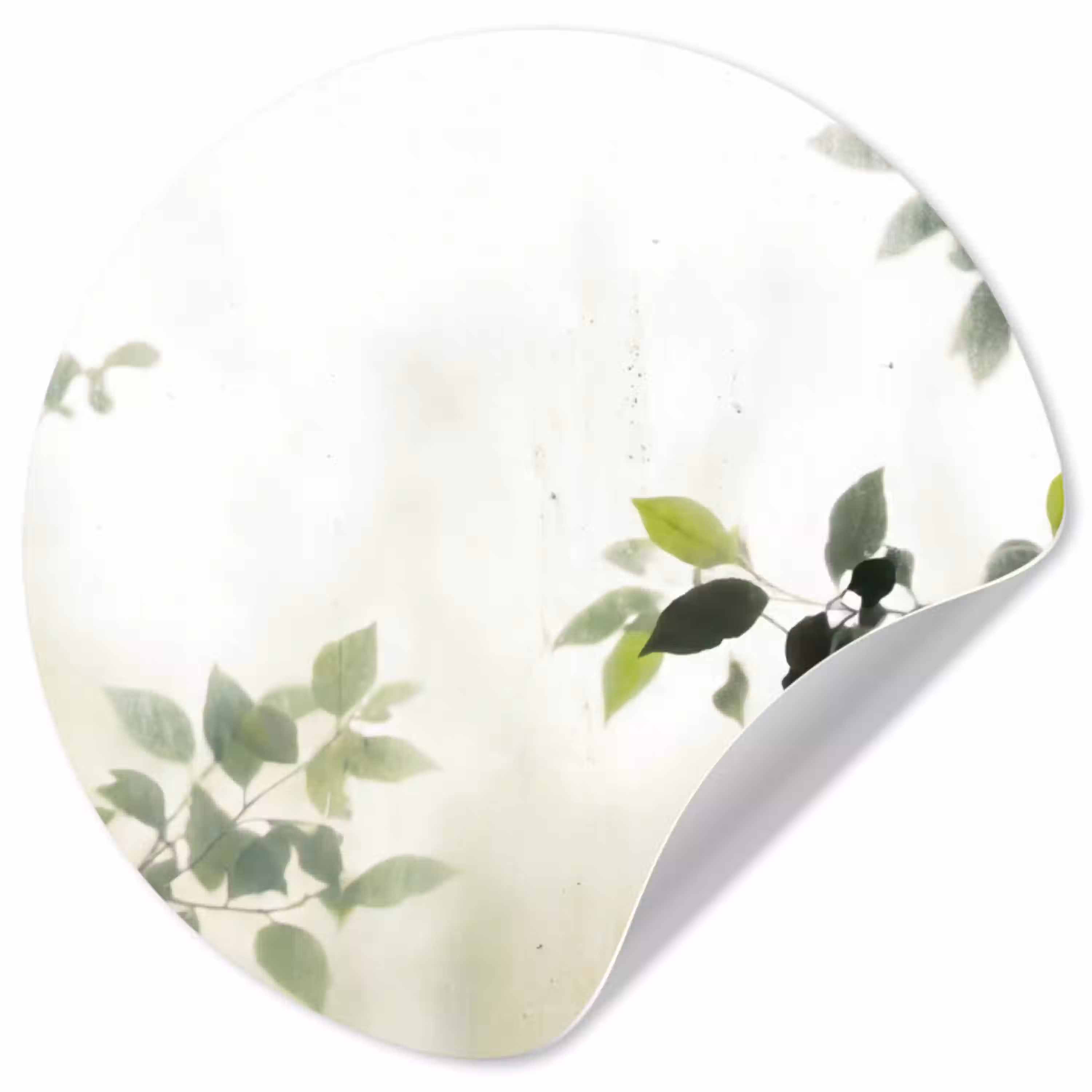 Blad - Schaduw - Natuur - Abstract - Groen Wandcirkel behangsticker klein -3d