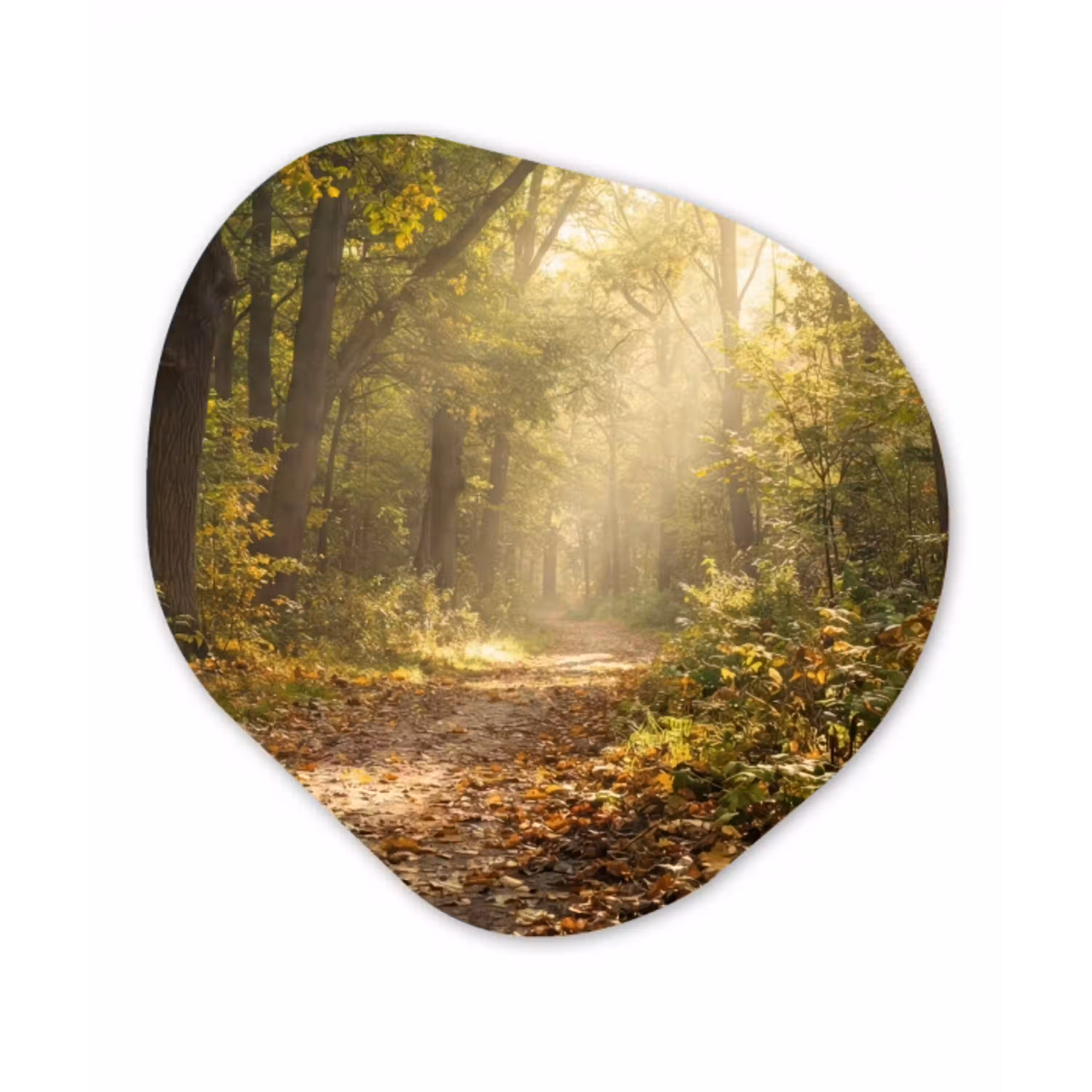 Zonlicht - Bospad - Bomen Wandcirkel Organisch Aluminium middel -3d